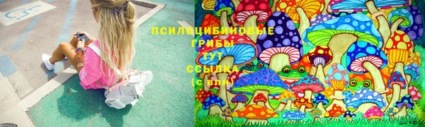 ГАЛЛЮЦИНОГЕННЫЕ ГРИБЫ Бугульма