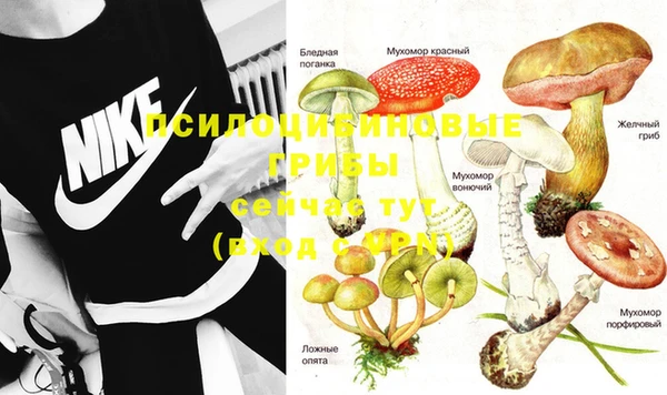 гидропоника Бородино