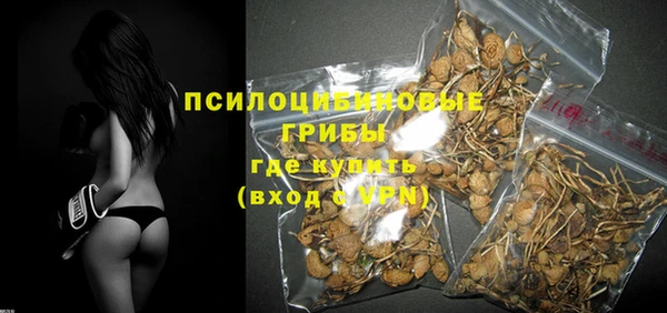 гидропоника Бородино
